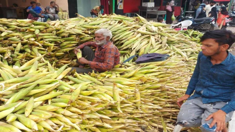 hyderabad’sfavouritebhuttaarrivesfromkarnatakamaharashtra