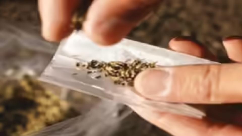 Eagle Team arrested former UoH student with ganja