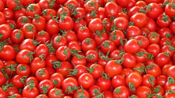 As the prices of Onion comes down, Tomato turns costly on tight supply in Hyderabad 