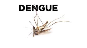 dengueviralfevercasesriseinhyderabad