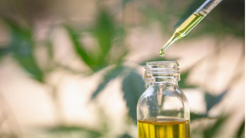 Drug peddlers nabbed with 1.3 kg hashish oil in Hyderabad