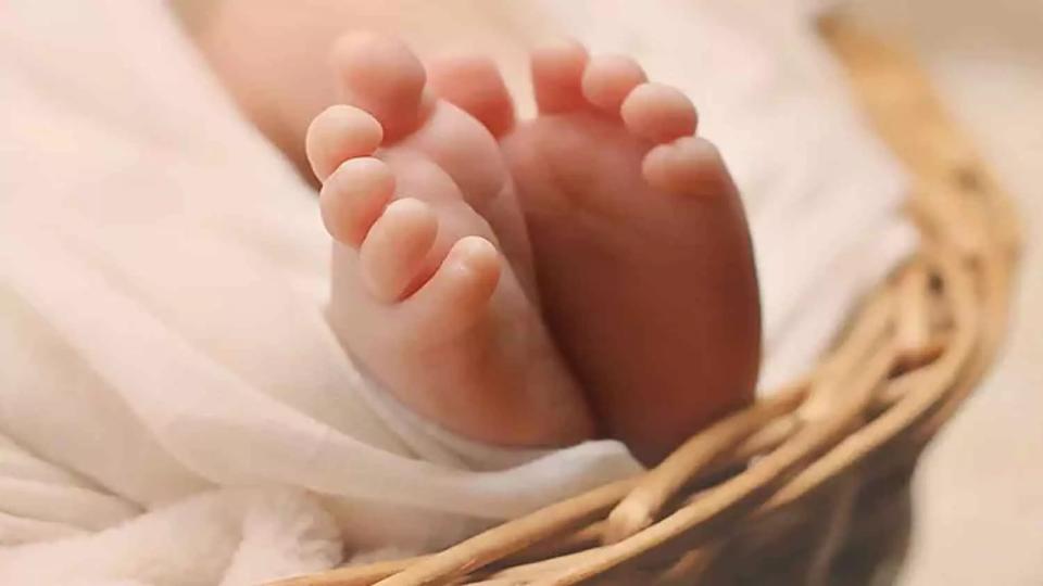 bodyofnewbornfoundindustbininnirmal