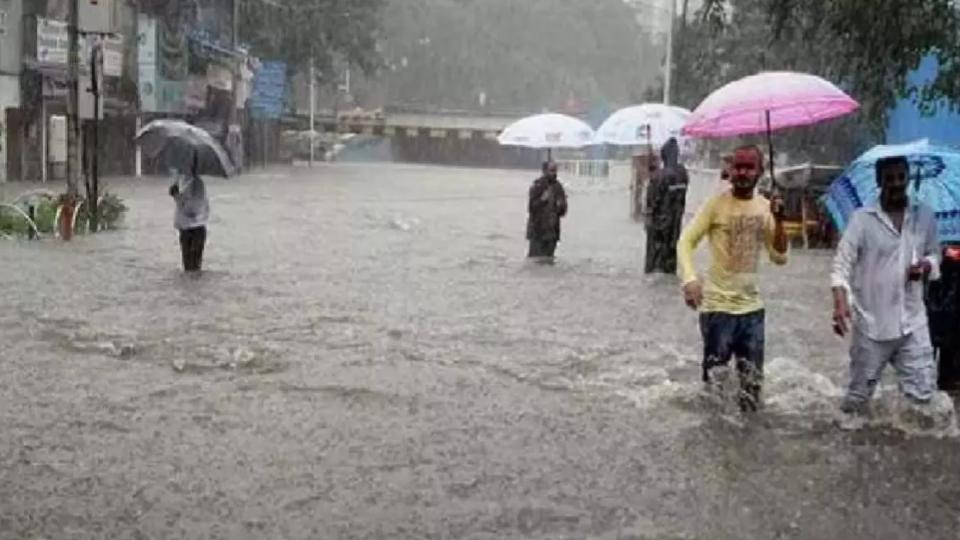 Heavy rain disrupts normal life in Adilabad district