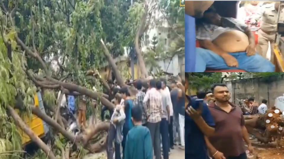 videoofoldtreeuprootsatshamsheergunjinhyderabad10injured