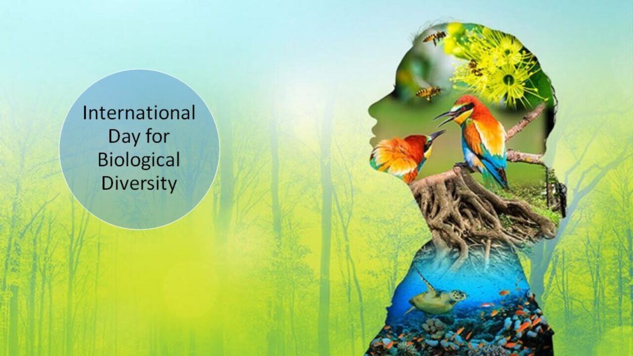International Day for Biological Diversity celebrated at KBR Park