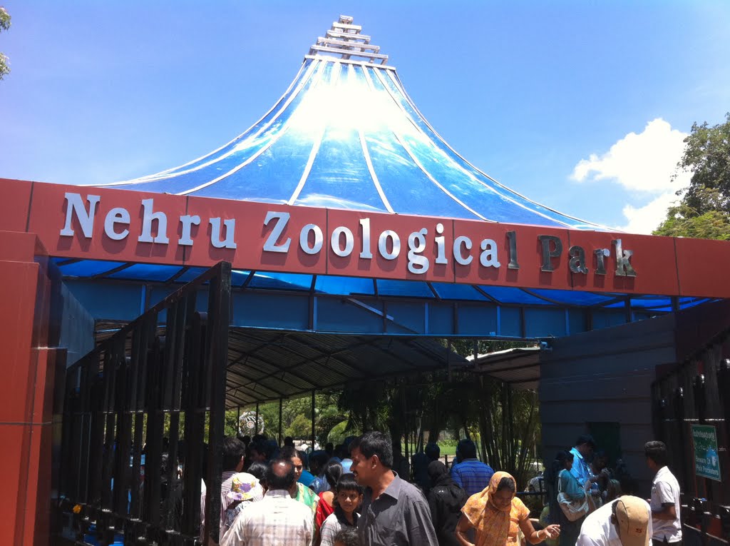 Nehru Zoological Park gets different animals from Odisha .