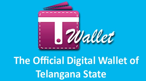 nowmakeyourpaymentsviatelanganatwalletapp