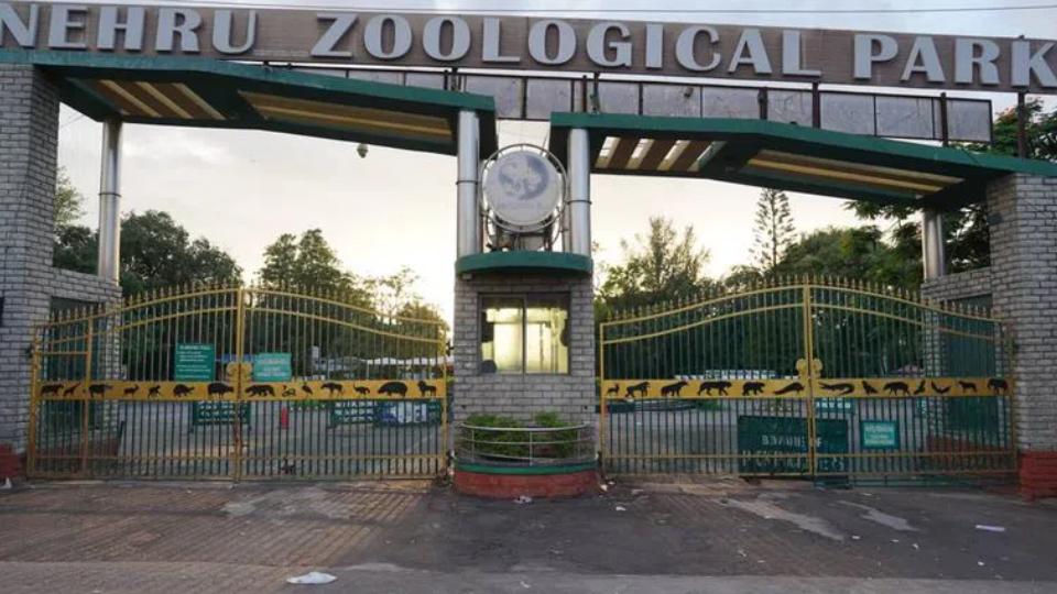 Nehru Zoological Park revises entry timing for Sept 11