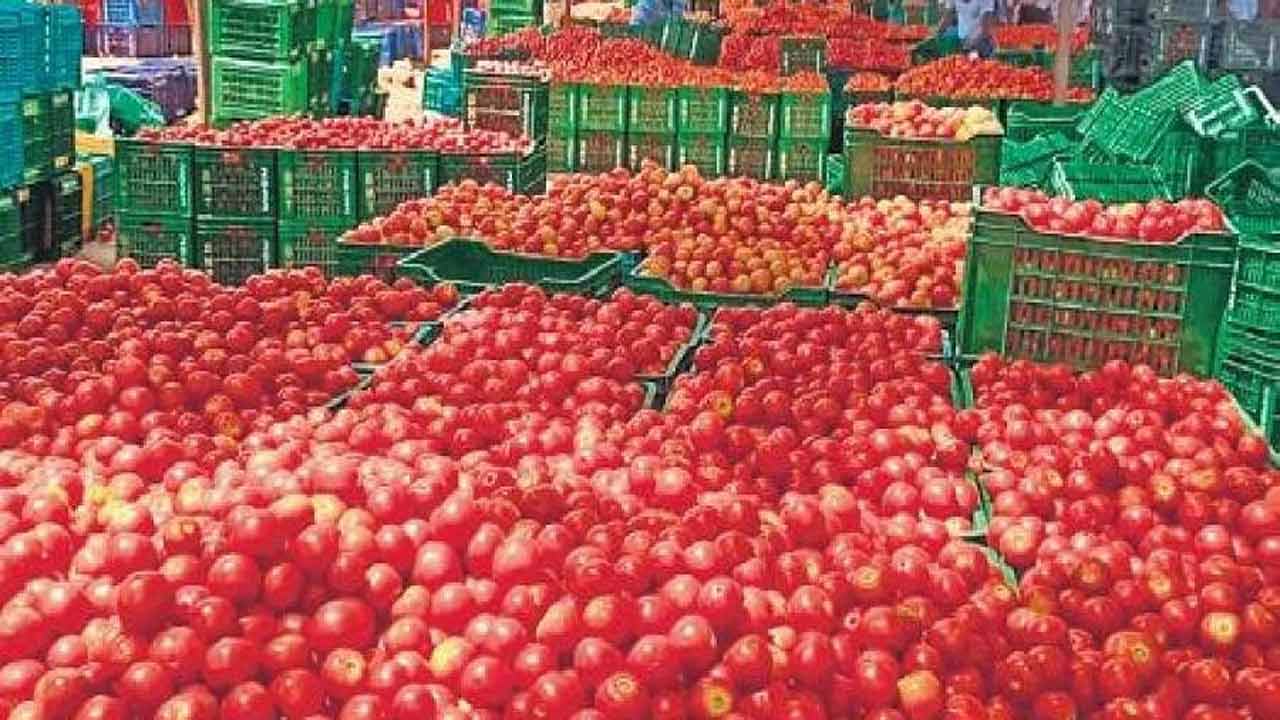 tomatopricesplummetinhyderabad