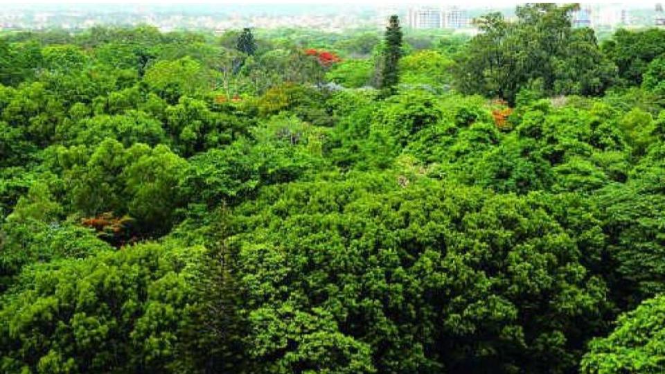Forest staff in Telangana seek arms and forest stations amid rising attacks