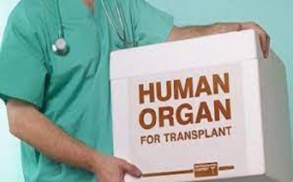 The Central government says, Telangana, Maharashtra top in donor organ transplants