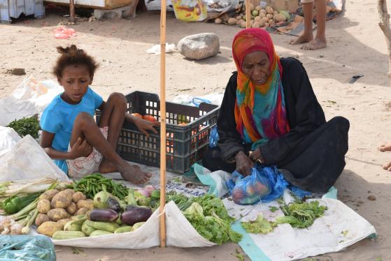 United Nation allocates $18mn to address food security in Yemen