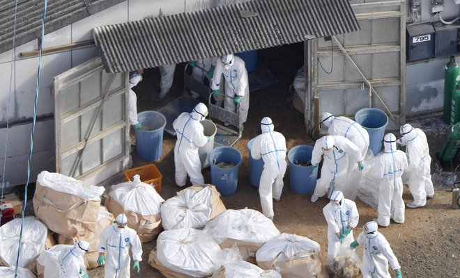 chineseofficialsentenced10yearsinvaccinescandal