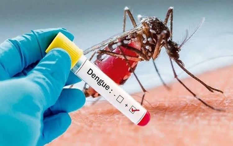 In Bangladesh death toll from dengue infection raise to 1017