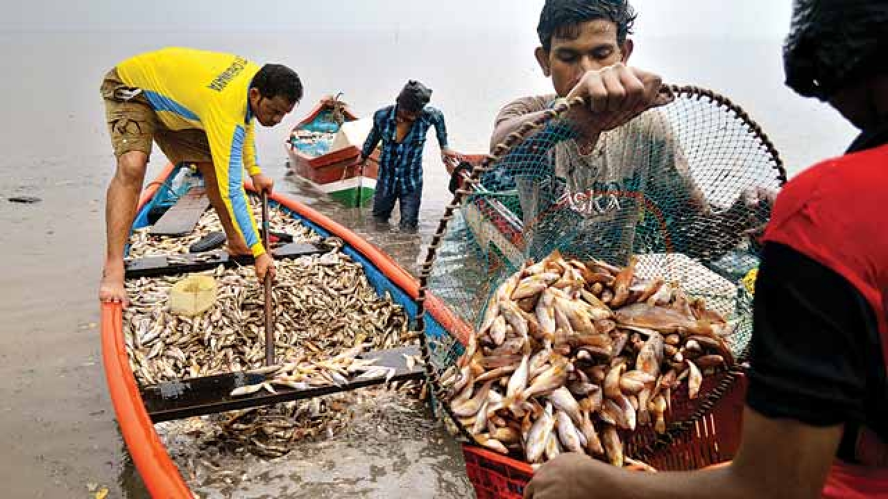47indianfishermenarrestedbypakistaniauthorities