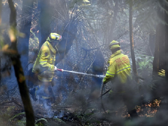 australiadeclaresstateofemergencyasheatwavefansbushfires