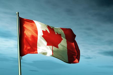 canadianstoelectnewgovtonapril28