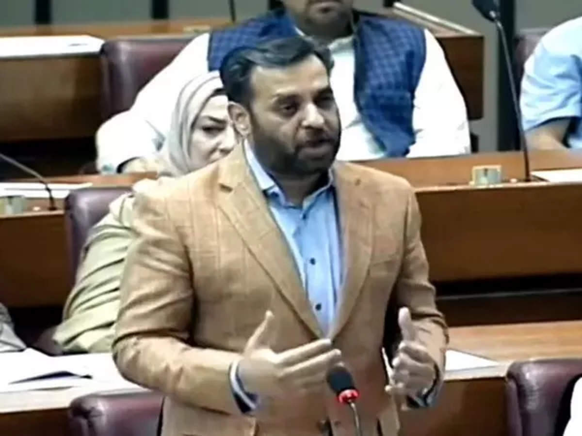 India landed on moon, while we... Pak lawmaker highlights lack of amenities in Karachi