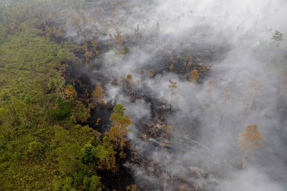 indonesianpolicearresthundredslinkedtoforestfires