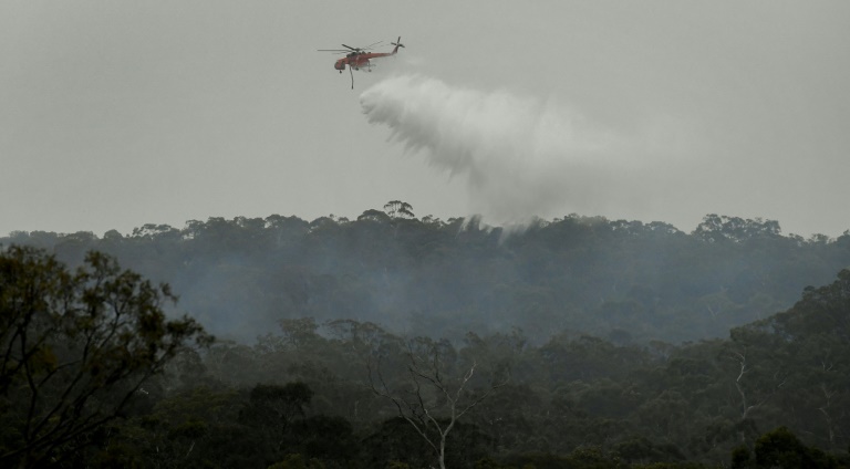 thousandstrappedonaustraliabeachencircledbyfire