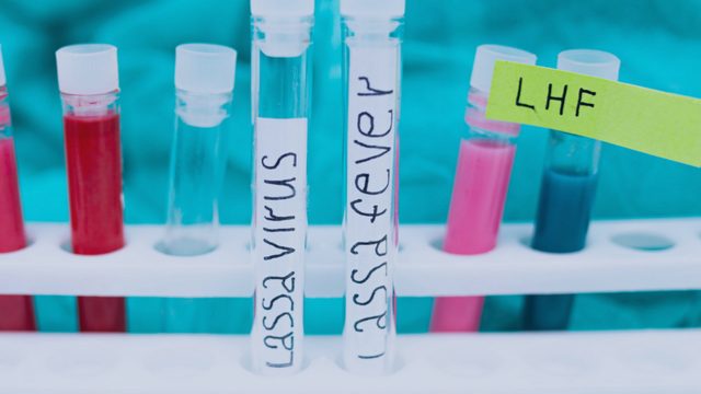 Lassa Fever Outbreak Kills 138 in Nigeria, 18 States Affected