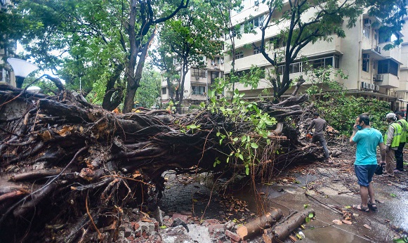 threepeoplediedincyclonenisargaheavyrainwreakshavocinmaharashtra