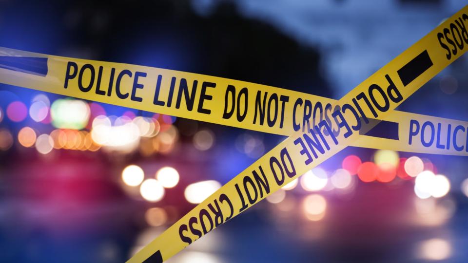 Four Indian-Origin People Shot Dead In Georgia, Suspect Held