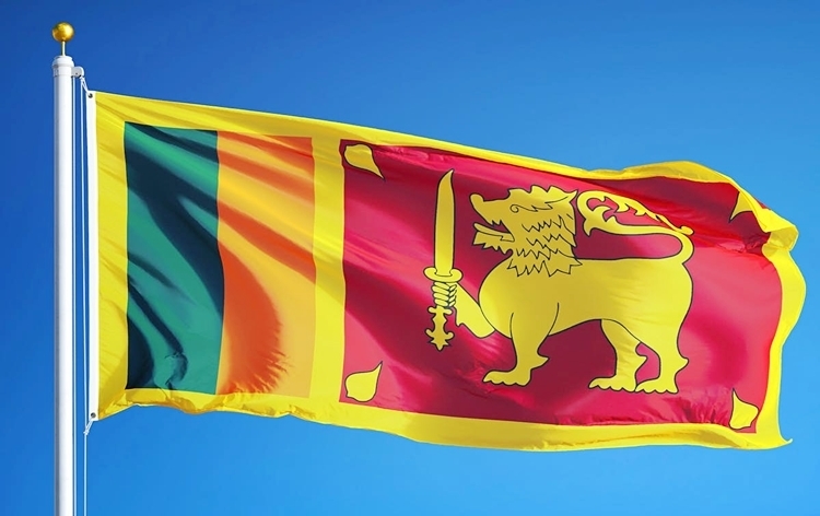 Nine new cabinet ministers take oath amid political instability in Sri Lanka