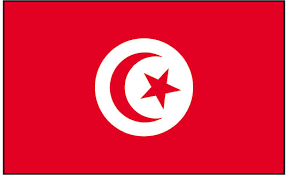 Tunisians to vote again on Jan 29 in elections for Parliament stripped of its powers