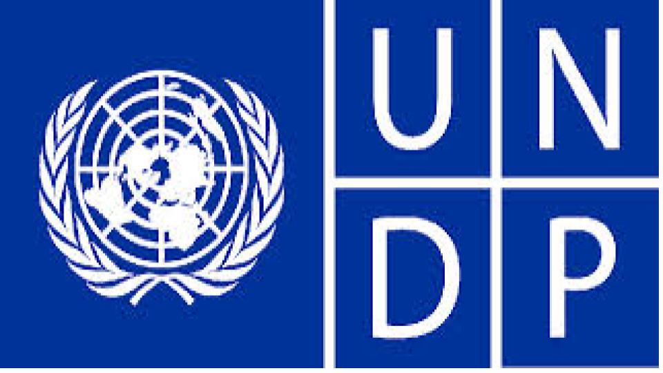 UNDP 