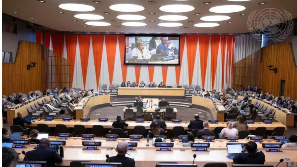 India elected to UN Economic and Social Council with pledge to champion development