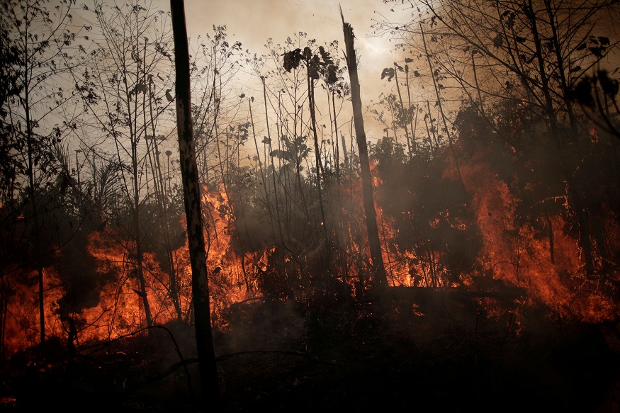 hundredsofnewfiresflareupinamazonforests