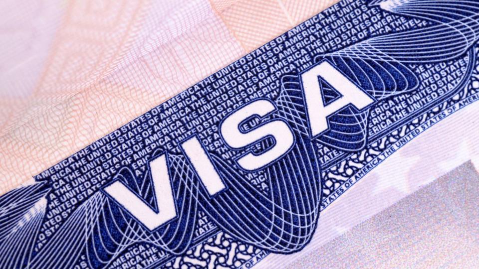 TCS Responds to US Green Card Ban, Emphasises Local Hiring