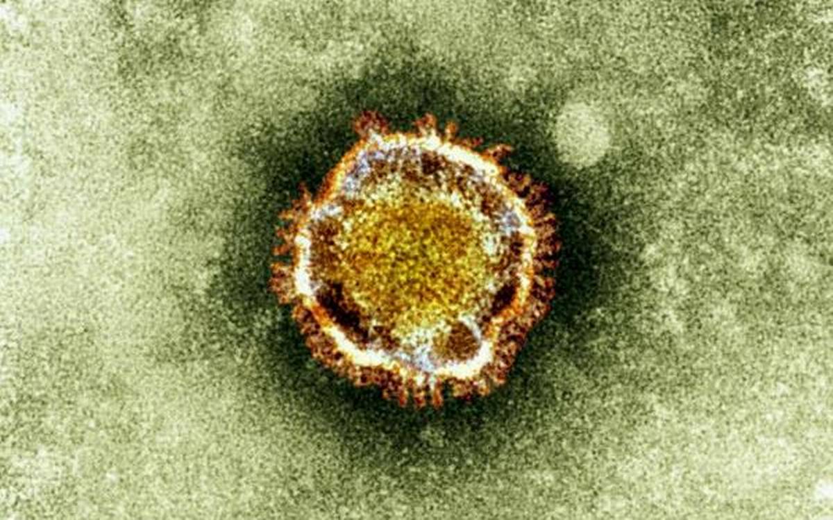 newcoronaviruscasesinukgermanyitalyputeuropetotalat31