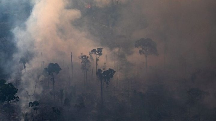 amazonfires:brazilbanssettingfirestoclearlandfor60days