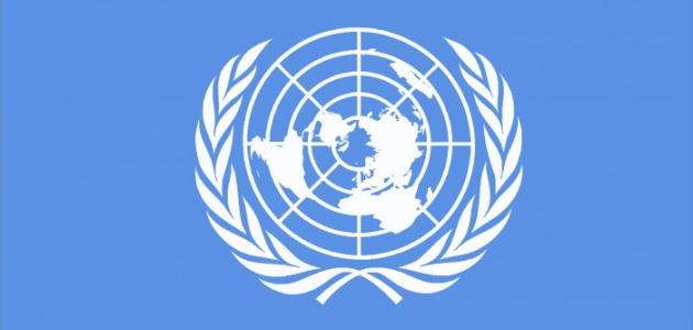 un:usprotestersjournalistsneedtheirrightsprotected