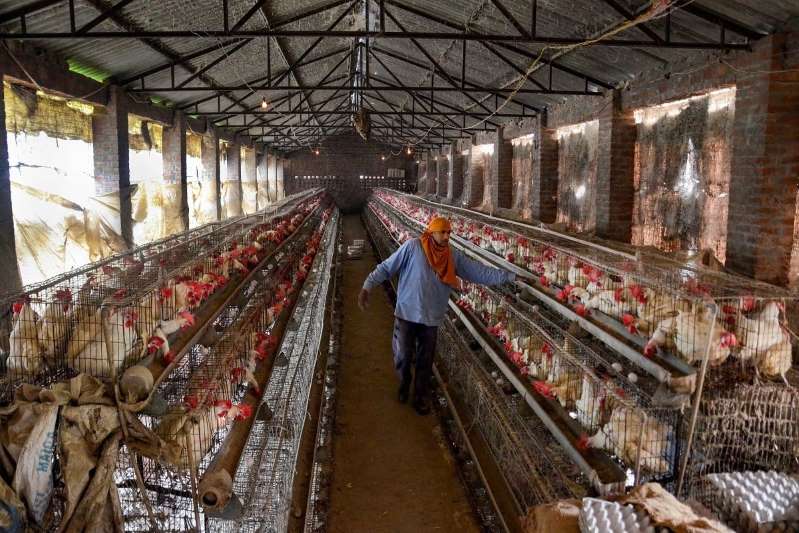 russiadetectsworld’s1stcaseofh5n8avianfluinhumans
