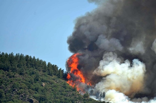 wildfirescontinuetoravageturkey’sholidaybeachdestinations