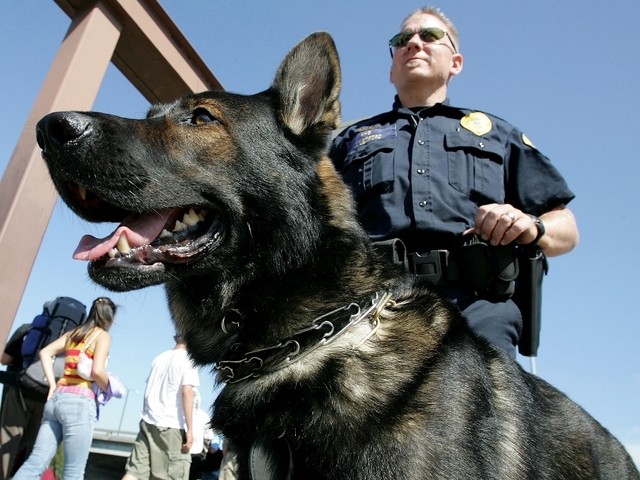 us:manbitespolicedogarrested