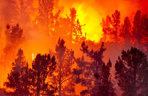 usdeclareemergencyinlaaswildfirespreadtonearly3000acres