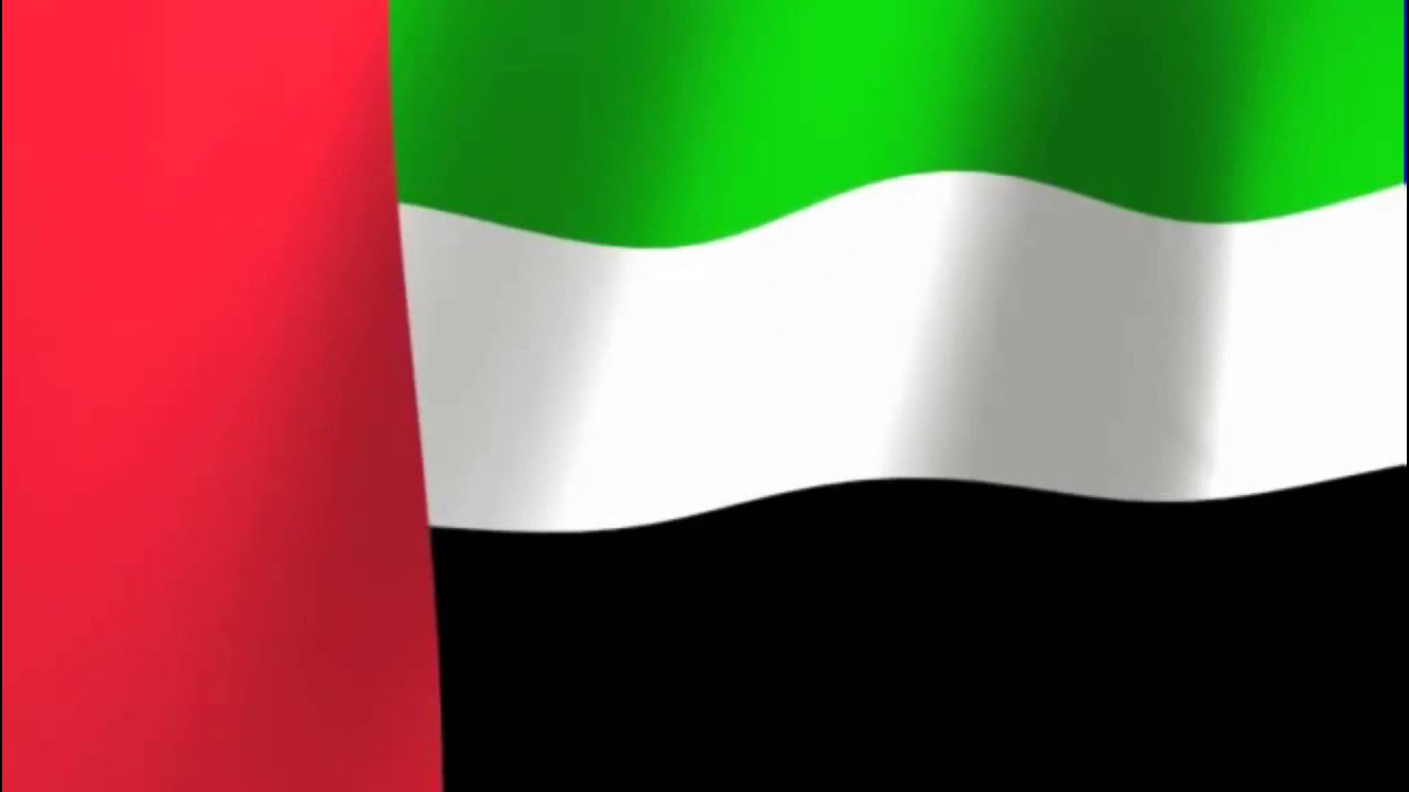 uaereadytocooperatewithsaudiarabiainfacingpossibleoilsupplydisruption:uaeminister