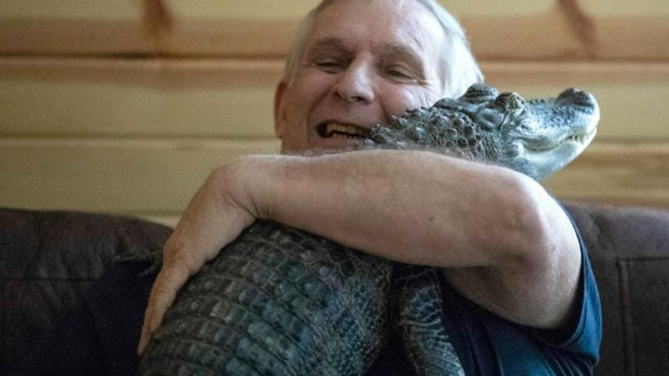 Pennsylvania Man says his ‘emotional support alligator’ is missing, urges social media for help