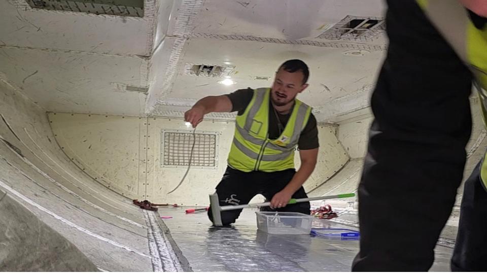 Snake on plane delays flight in Australia
