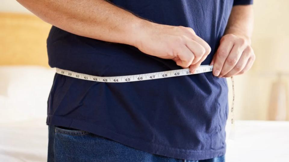 US researchers identified gut bacterium for weight loss