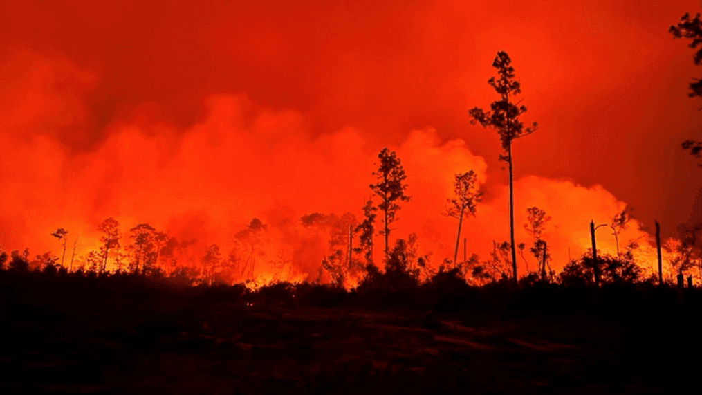 5killedthousandsfleehomesaswildfireburnsacrosslosangeles