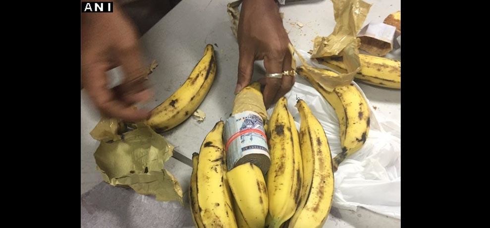 kozhikode:saudiriyalworthrs45lakhfoundconcealedinbananas