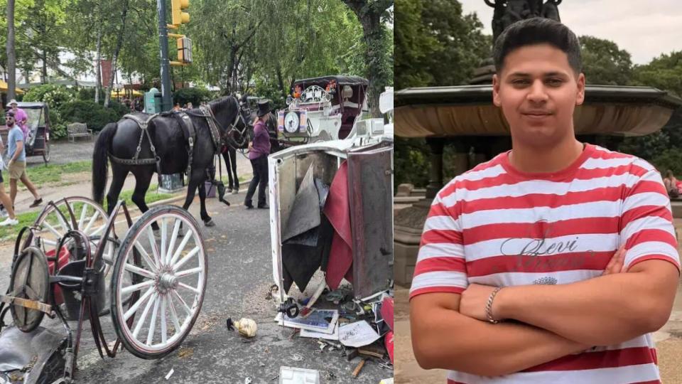 Indian Tourist Killed After horse-drawn carriage overturned in Central Park, New York
