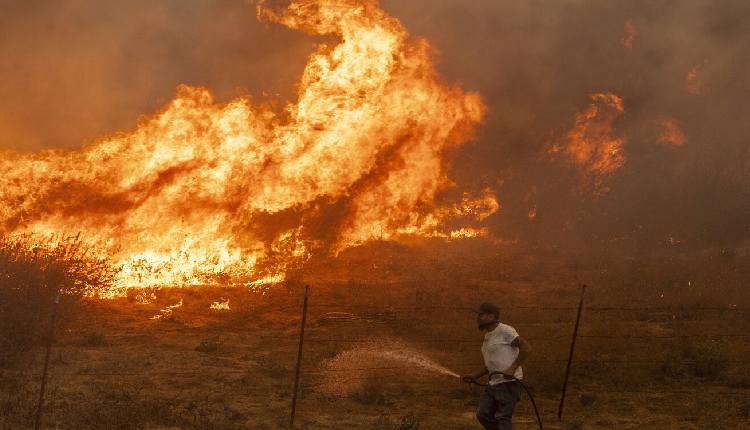 Massive Wildfire Near Jerusalem Triggers National Emergency, Thousands Evacuated