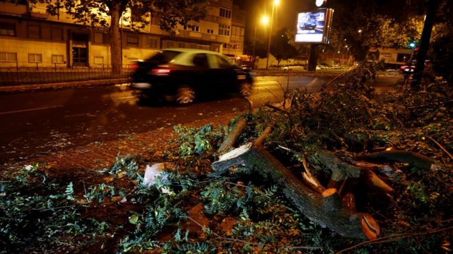 stormleslie:portugalhitbyhurricaneforcewinds