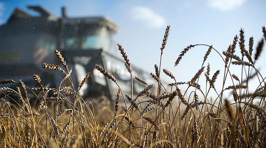 saudiarabiawantsrussianwheat